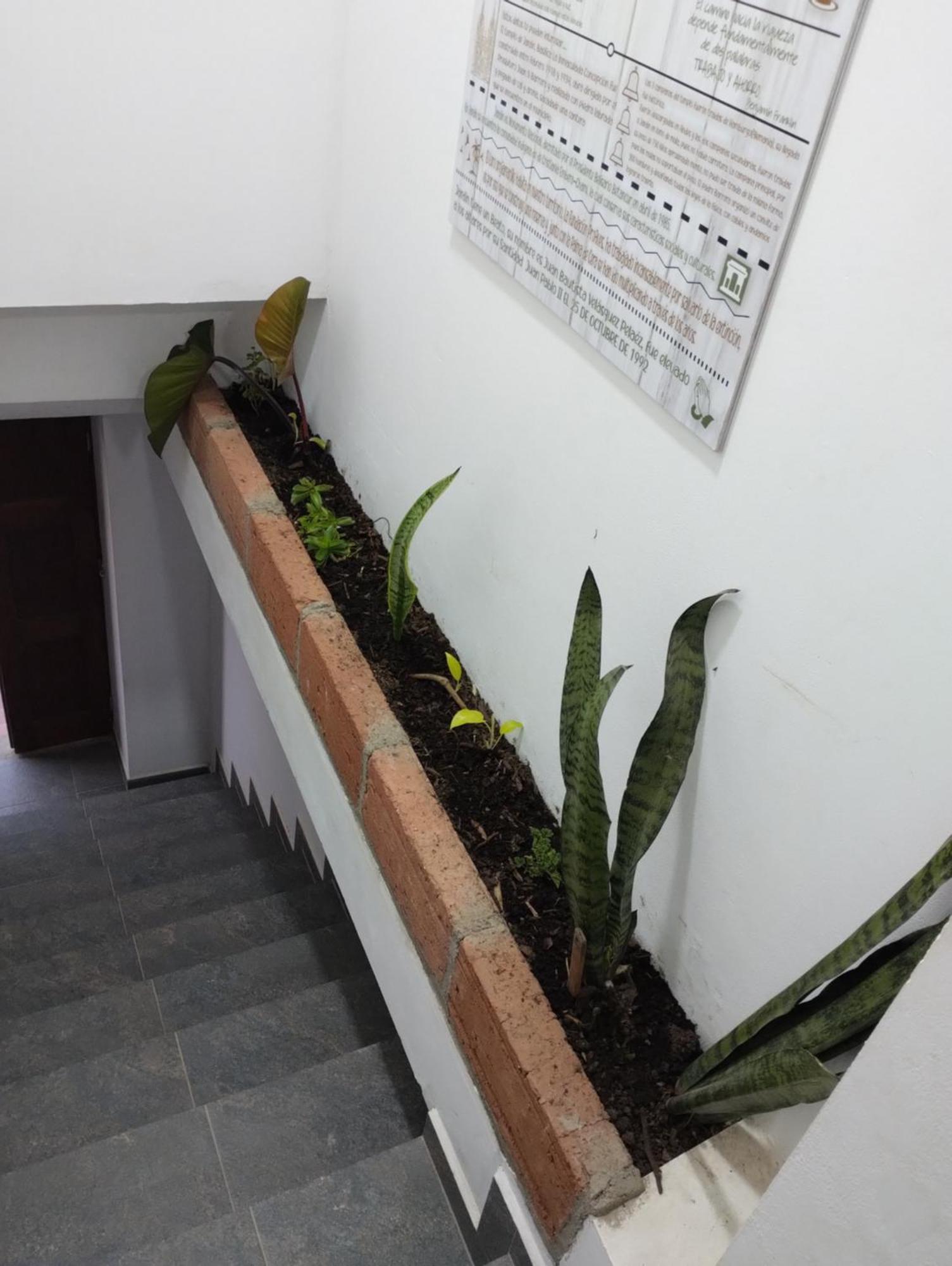 Montesco Apartment Jardin Bagian luar foto